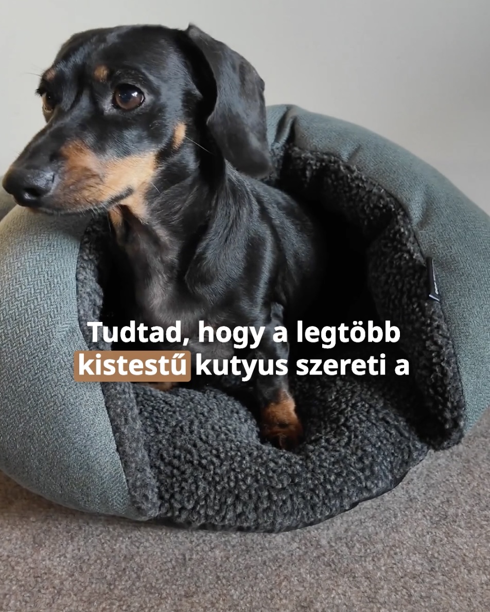 POCKET belebújós kutyaágy